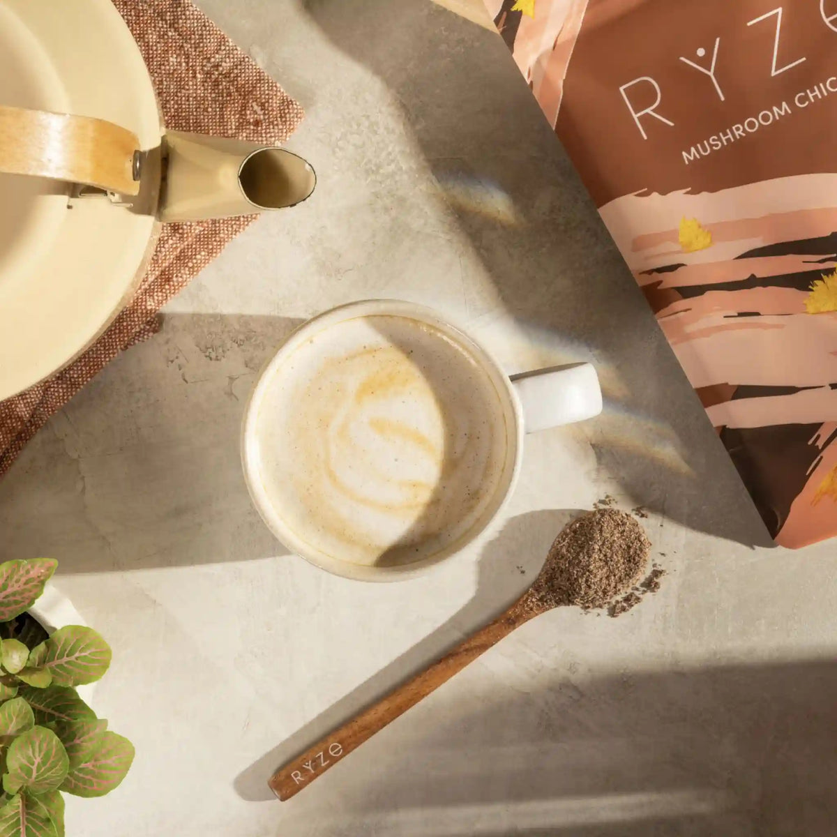 Interpolation Cd R Mushroom Chicory (30 Servings) – ryzesuperfoods.info